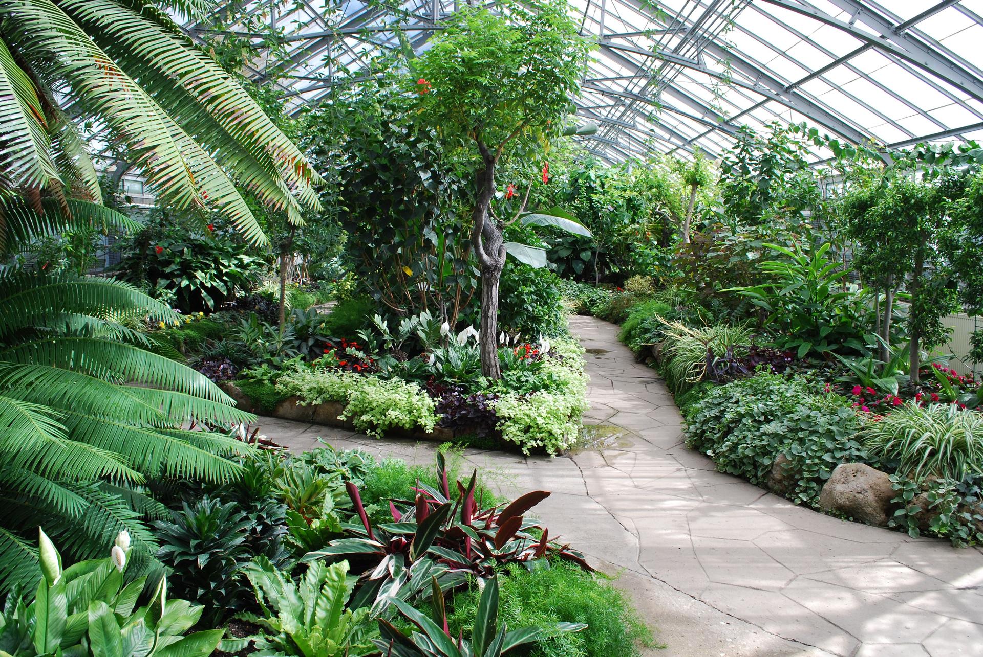 Tropical green house garden in Toronto