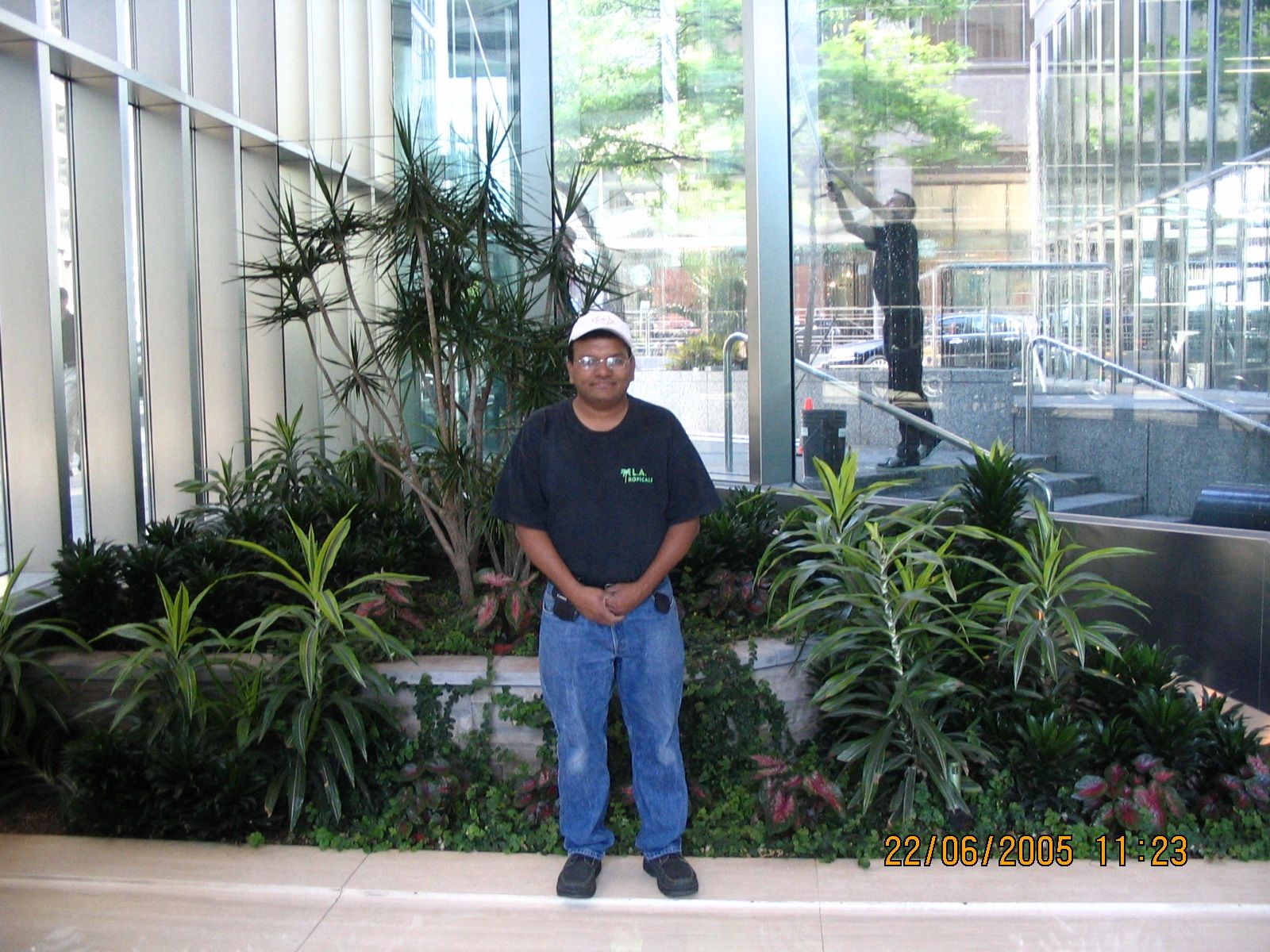 Indoor Plant Maintenance