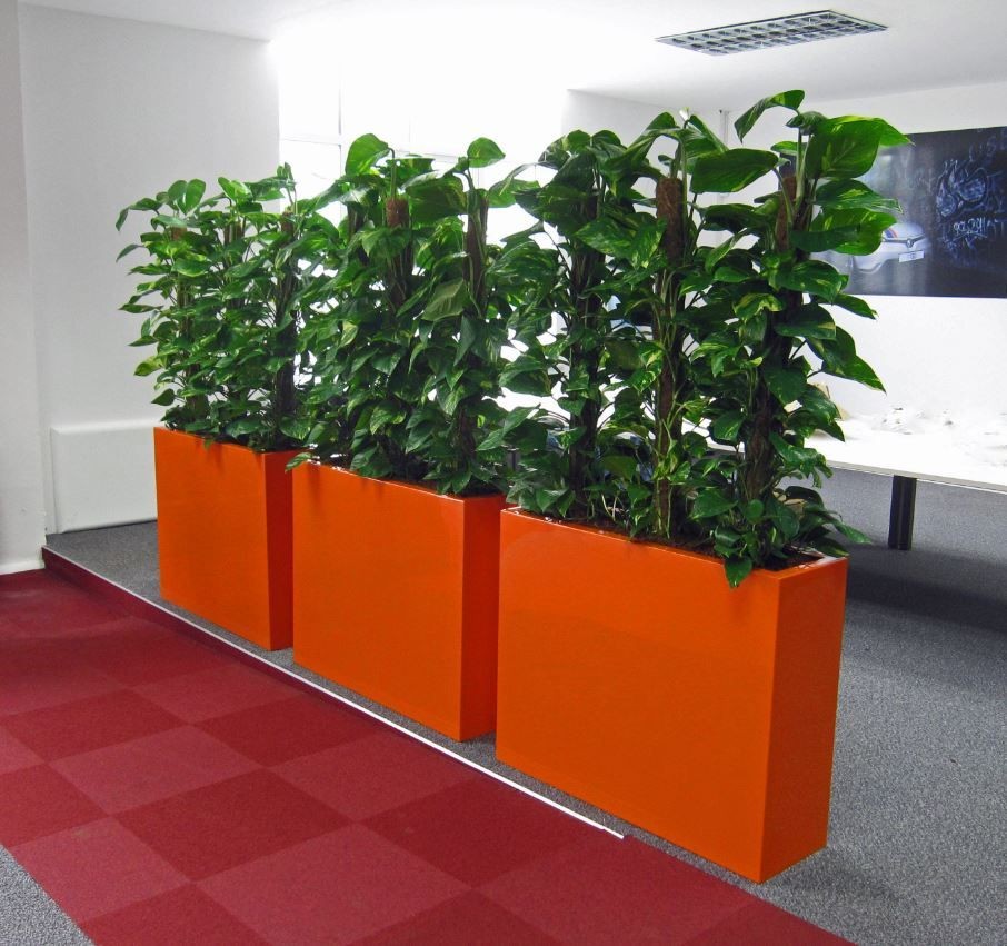 Seasonal Plant Refreshes