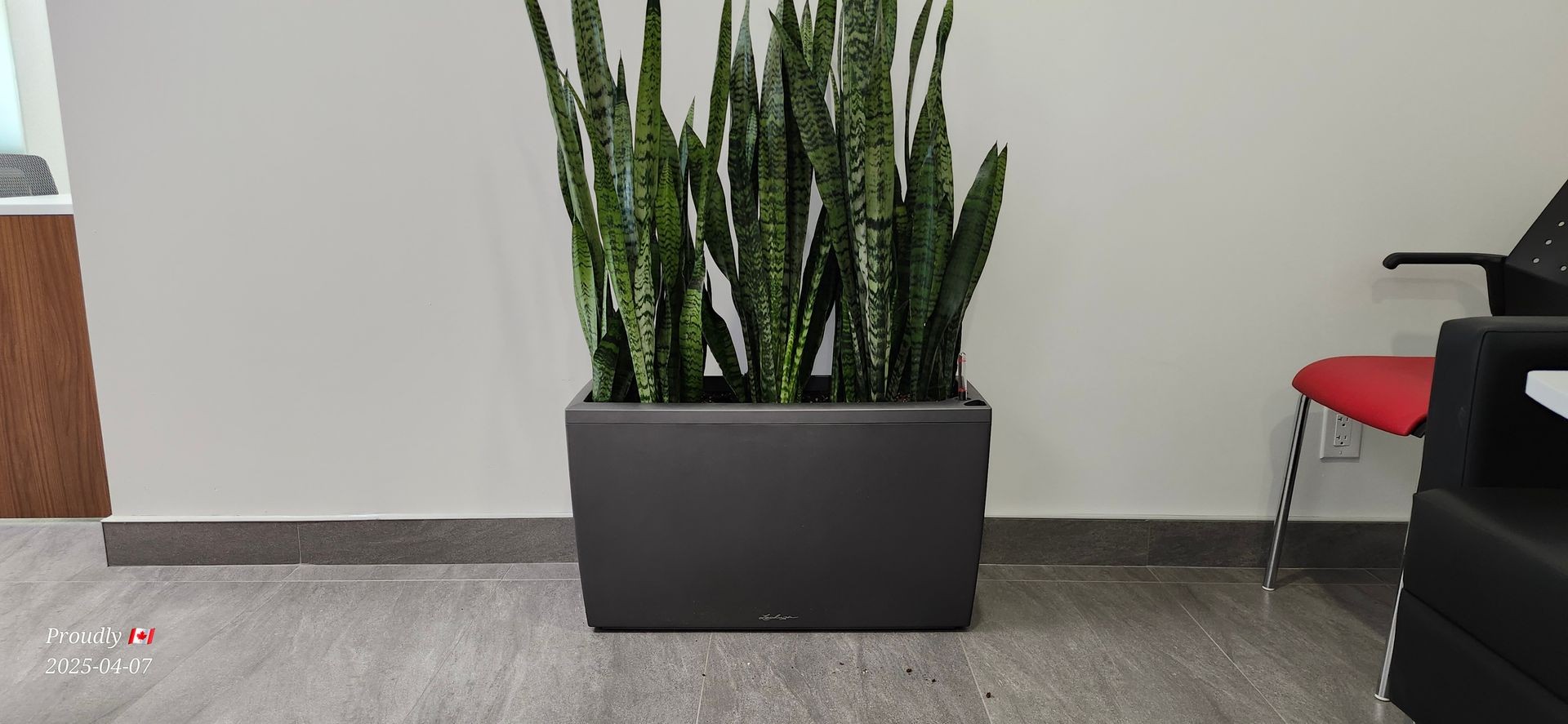 Sustainable Plant Solutions