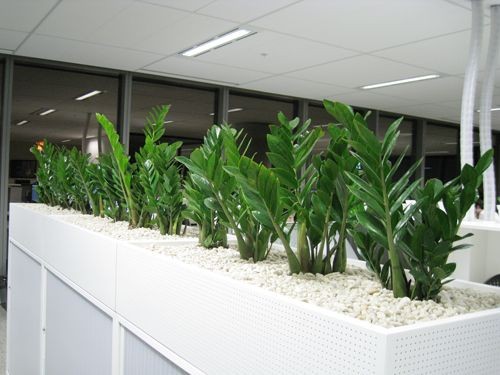 Office Privacy