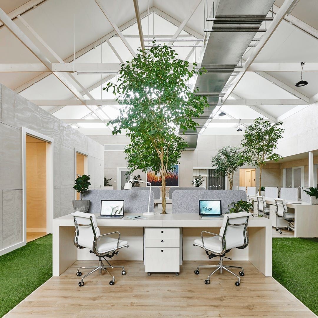 Custom office Plants 